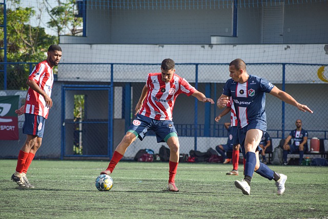 全部采用可 全部采用可