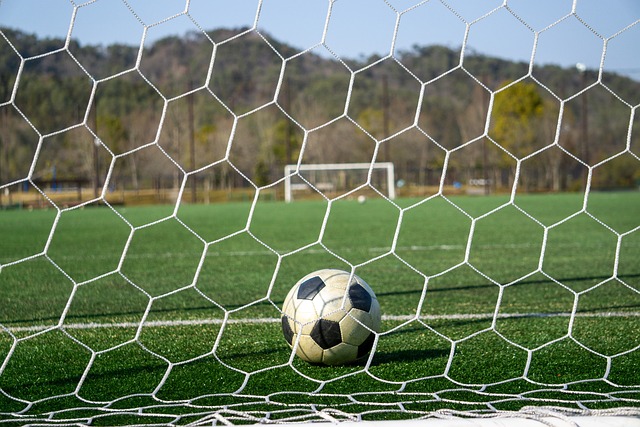 心理素质和 心理素质和