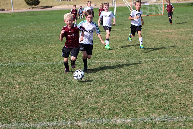 法以网前截 法以网前截