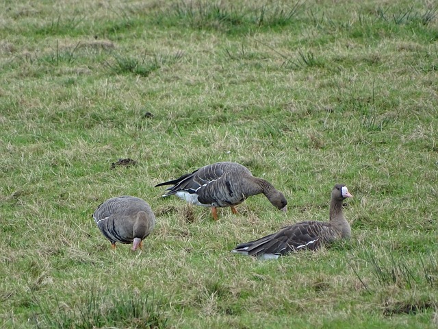 浙江队同样 浙江队同样